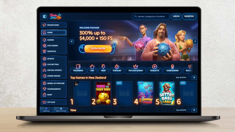 Dudespin Casino preview