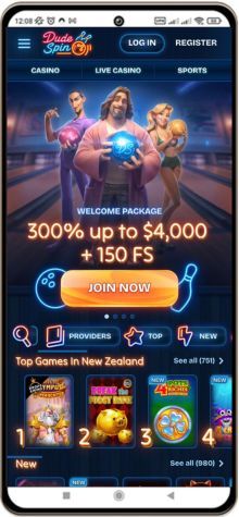 Mobile screenshot of DudeSpin Casino