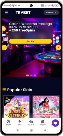 Mobile screenshot of Trybet Casino