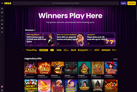 iWild casino main page