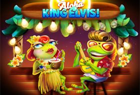 Gameplay Facts & Figures Aloha King Elvis