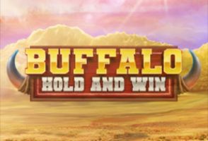 Gameplay Facts & Figures Buffalo Hold and Win