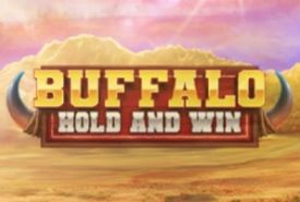 Buffalo Hold and Win review