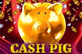 Gameplay Facts & Figures Cash Pig