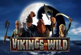 Vikings Go Wild review