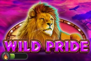 Gameplay Facts & Figures Wild Pride