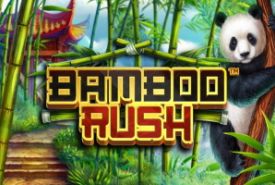 Bamboo Rush review