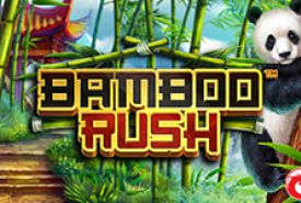 Bamboo Rush review