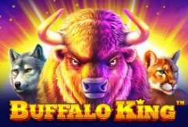 Buffalo King review