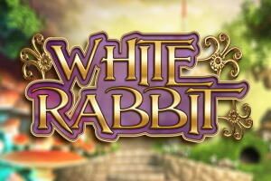 White Rabbit slot